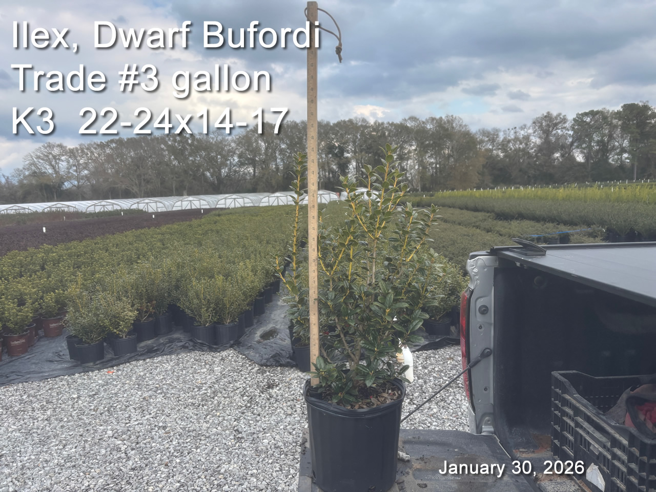 gallery/db3t k3 jan30.jpg